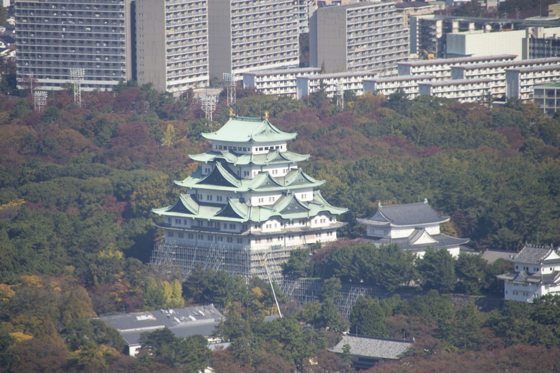 靴 捨て オファー 方 名古屋 市