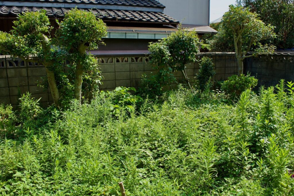庭じまいとは？老後に向けて考える庭の終活