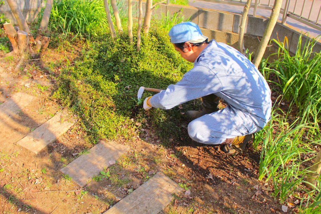 庭じまいで後悔しないためのポイント