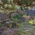 庭じまいとは？庭の終活はどうすれば良いの？費用を含めて老後の庭を解説