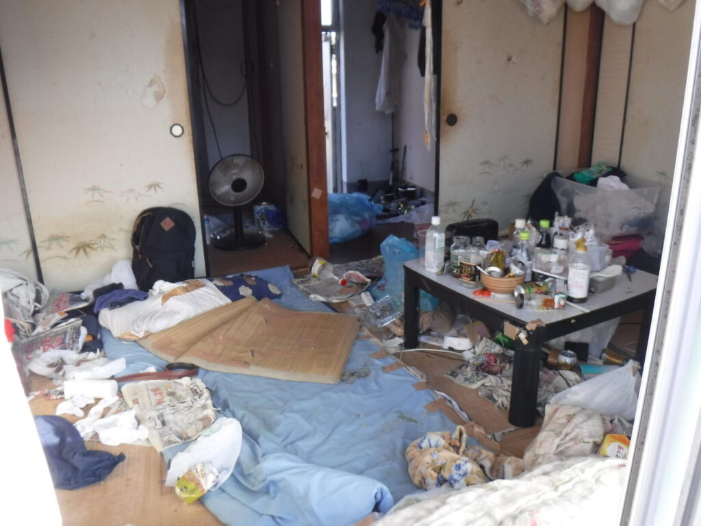 ゴミ屋敷に出る害虫の種類